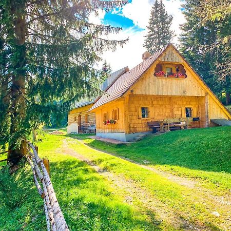 Chalet Ivi Villa Zgornje Gorje Exteriör bild