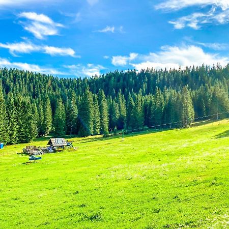 Chalet Ivi Villa Zgornje Gorje Exteriör bild