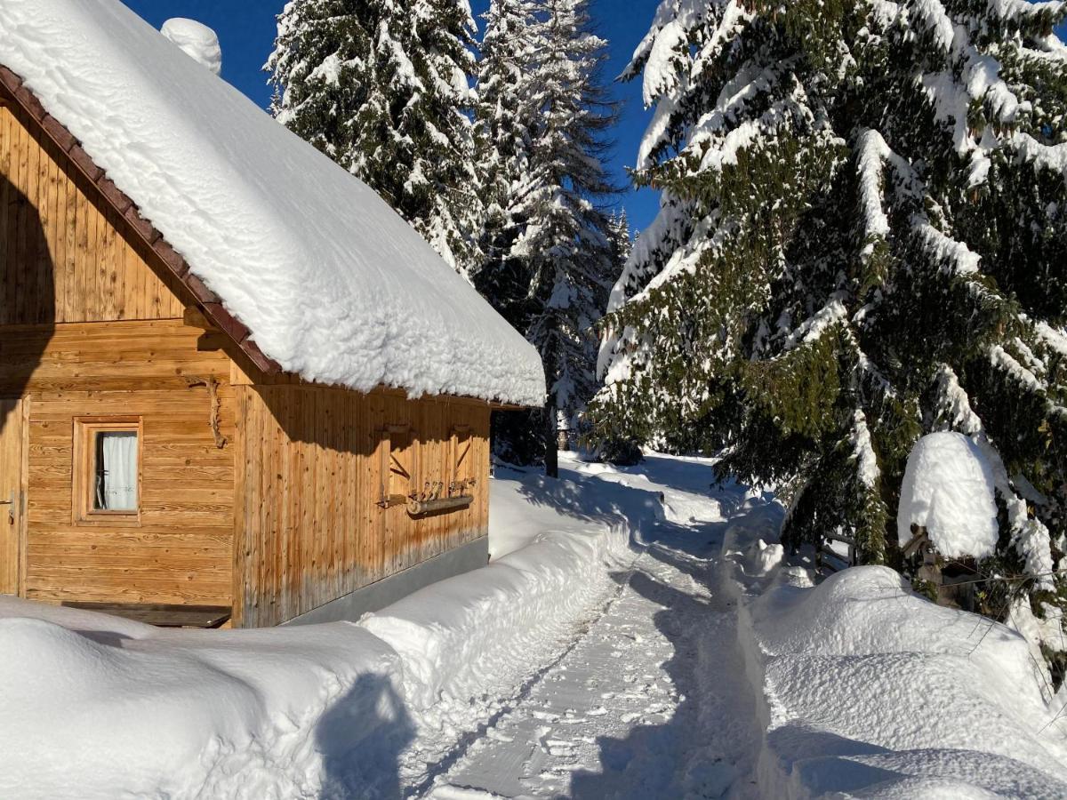 Chalet Ivi Villa Zgornje Gorje Exteriör bild