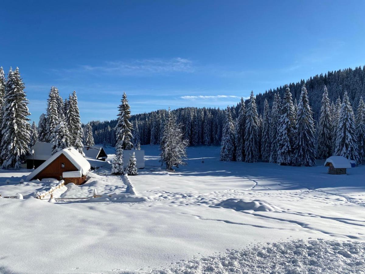 Chalet Ivi Villa Zgornje Gorje Exteriör bild