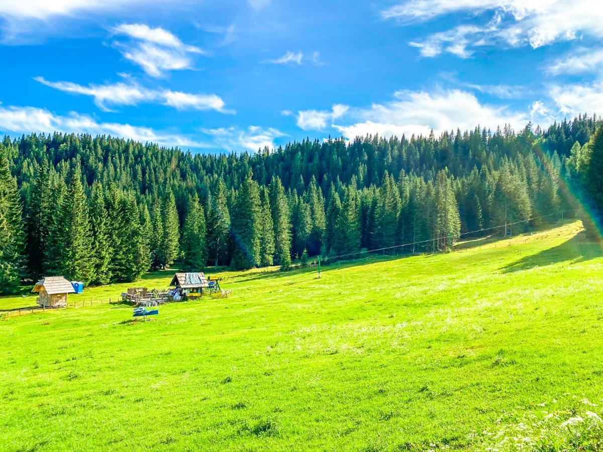 Chalet Ivi Villa Zgornje Gorje Exteriör bild